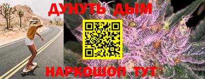 гидропоника Гусиноозёрск