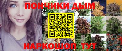 гидропоника Гусиноозёрск