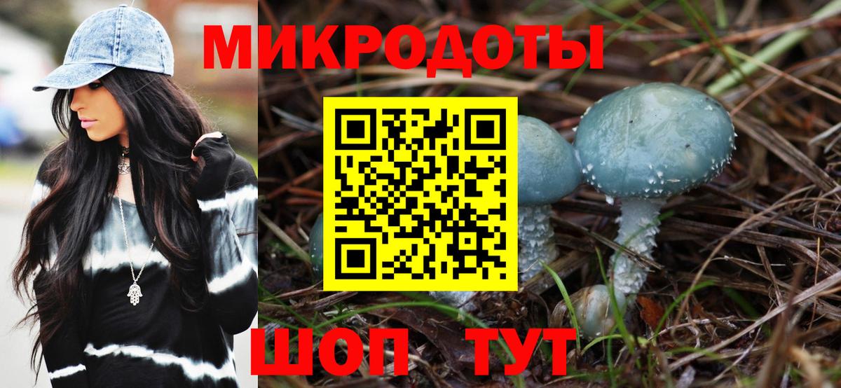 купить наркотик  Вход с VPN  Мытищи  Галлюциногенные грибы Cubensis 